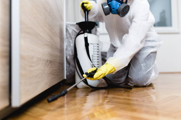 Best Insect Control  in Rockville, IN