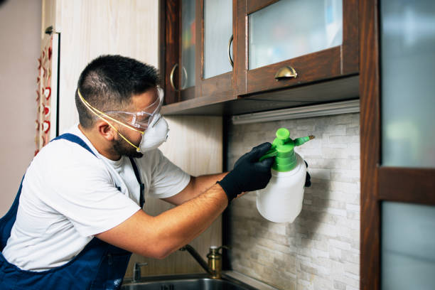Best Affordable Pest Control Services  in Rockville, IN