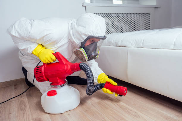 Best Flea Control Services  in Rockville, IN