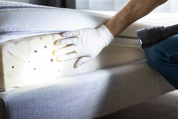 Best Pest Control Near Me in Rockville, IN