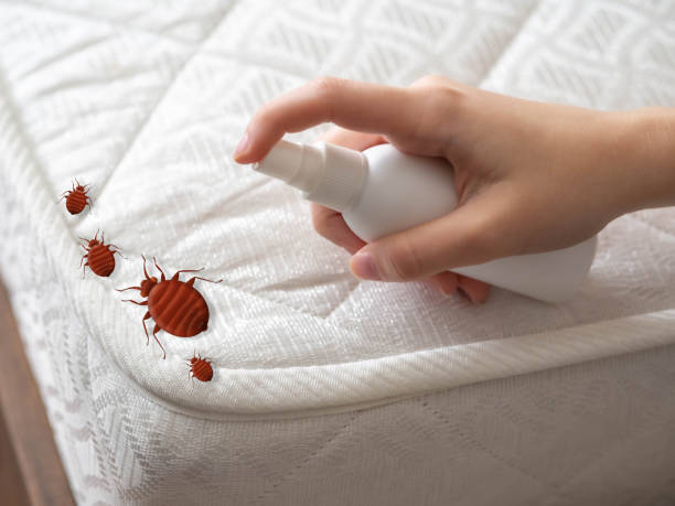 Best Best Pest Control Near Me  in Rockville, IN