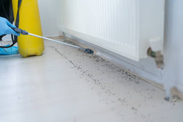 Best Termite Control Services  in Rockville, IN