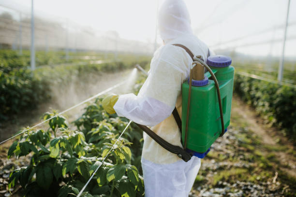 Best Mosquito Control Services  in Rockville, IN